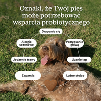 ProBio-5™ Kąski synbiotyczne